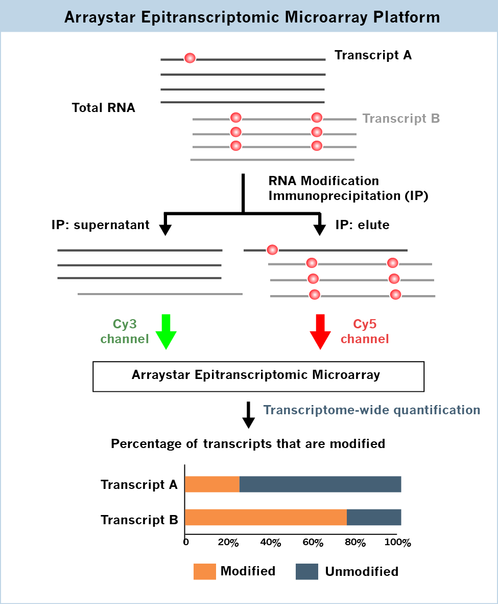 Arraystar Epitranscriptomic Microarrays platform