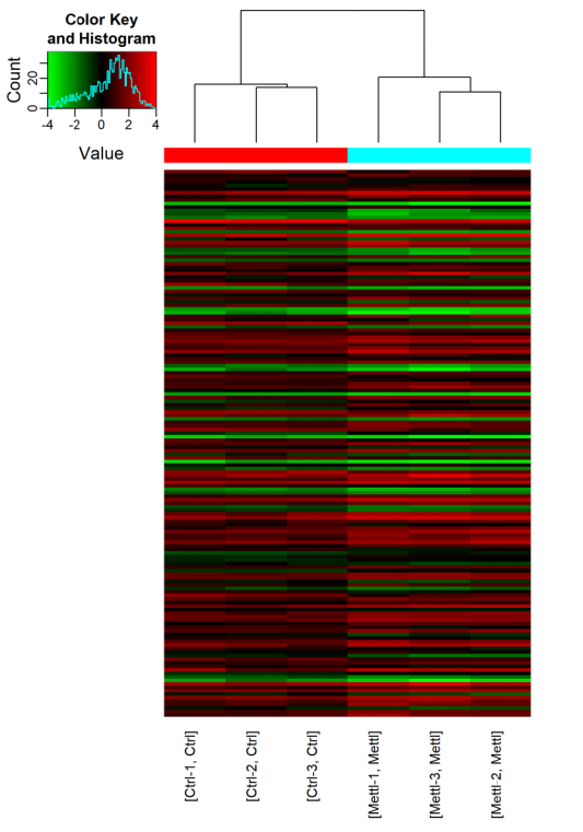差异m6A甲基化circRNA聚类分析