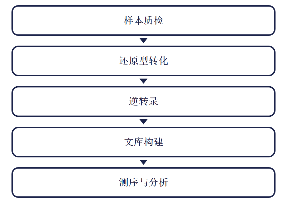 RedaC-T-seq 实验流程