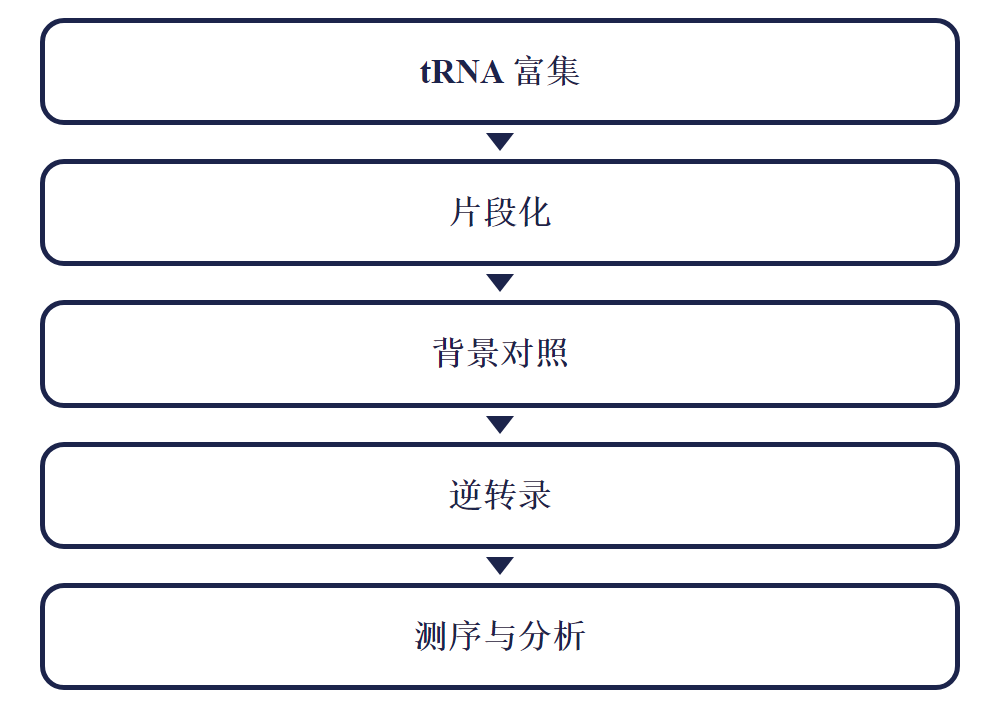 m1A-Quant-seq 实验流程