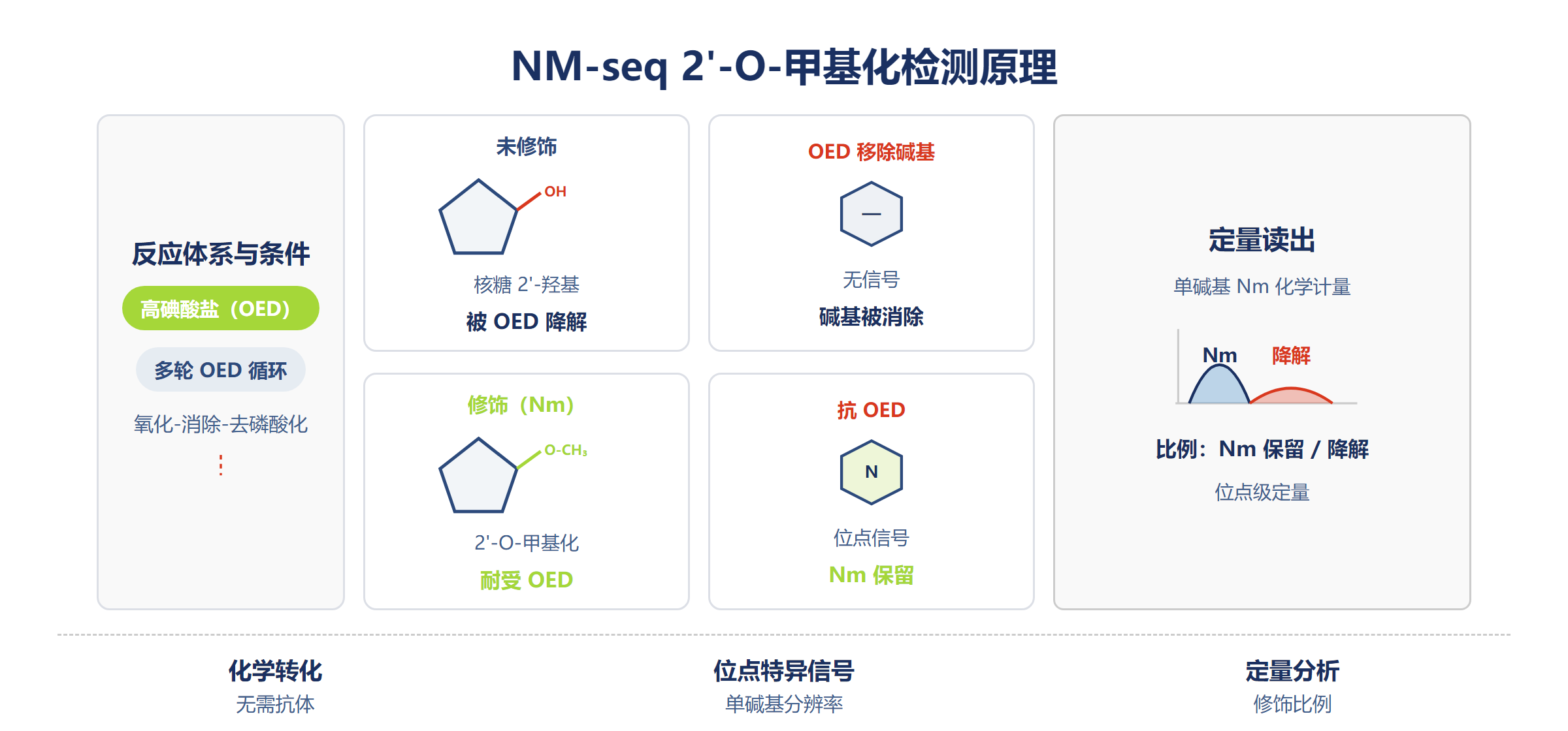 NM-seq Nm 检测原理