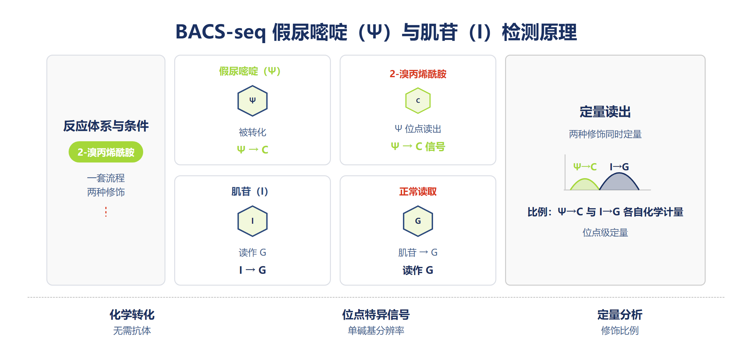 同时检测 Ψ 与 I 的原理