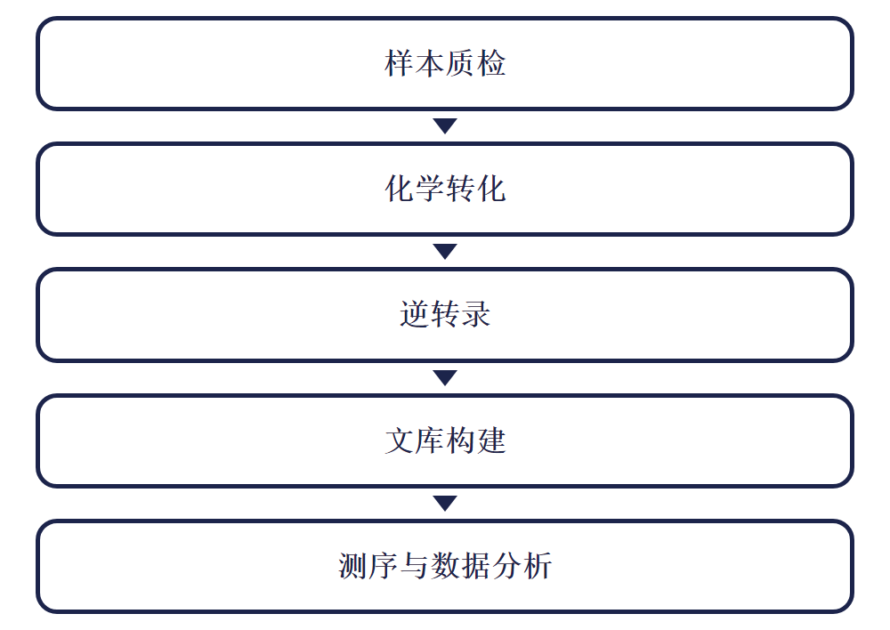 实验流程