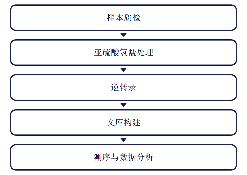 实验流程