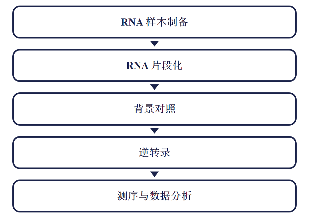 m1A-Quant-seq 实验流程