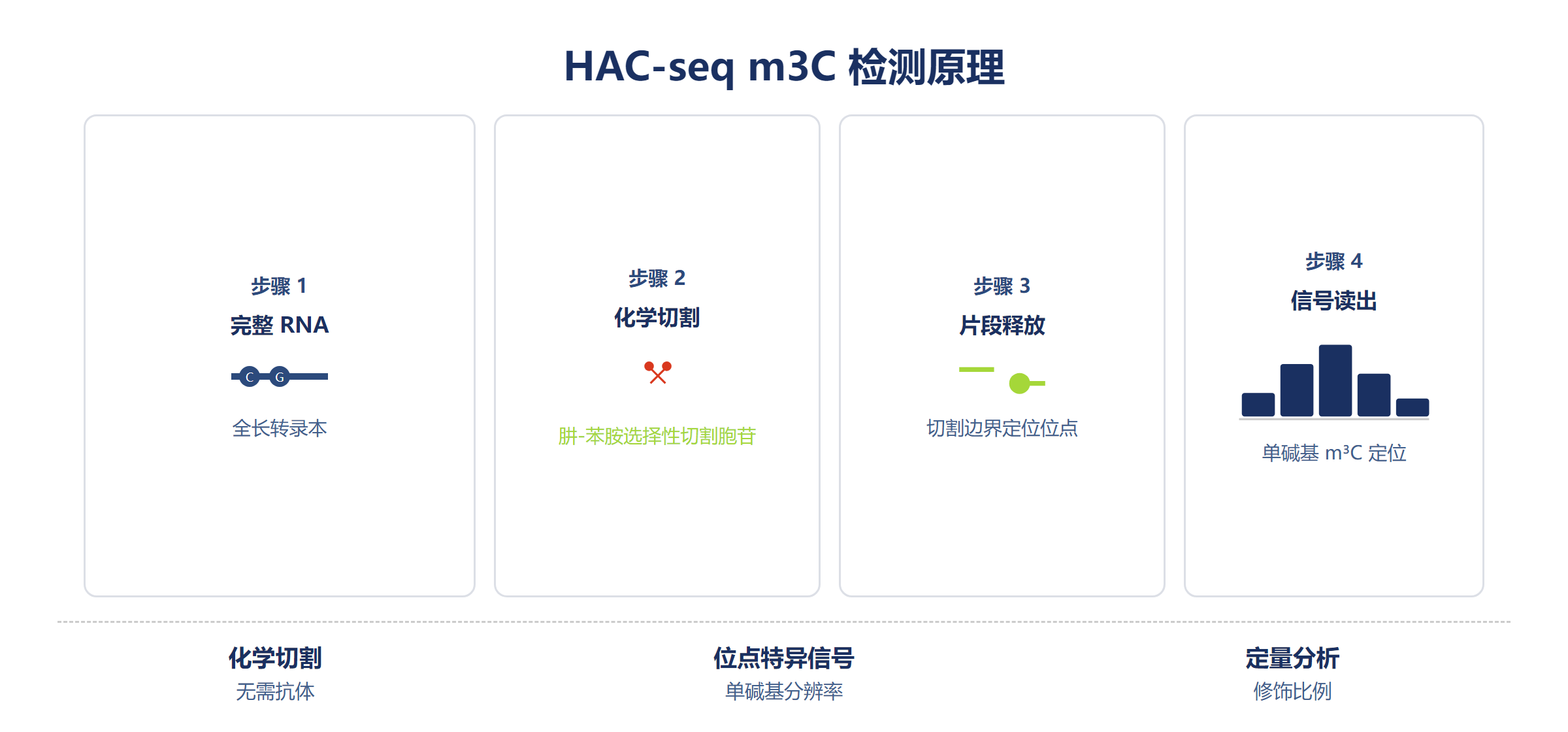 HAC-seq m3C 检测原理