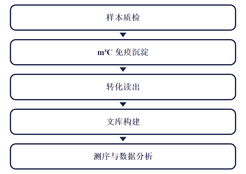 m3C-IP-seq 实验流程