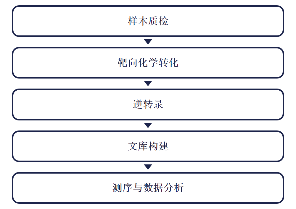 m7G-Quant-seq 实验流程