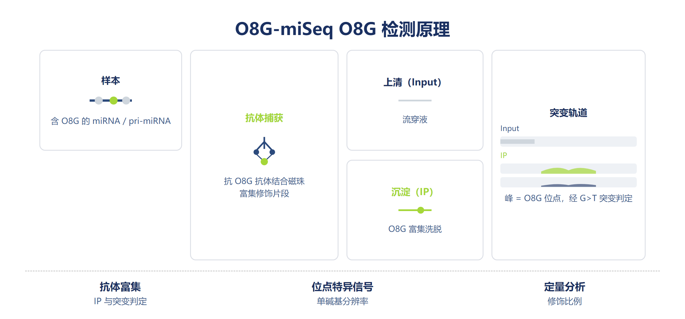 O8G-miSeq 检测原理